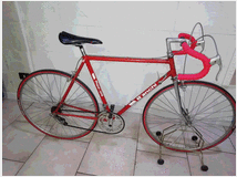 3773355 da corsa bianchi