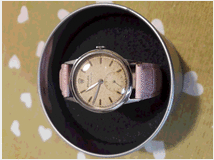 3802556 Oyster perpetual lady