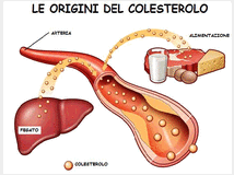 4058856 OLIO DI SALMONE