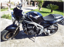 4244487 TRIUMPH Speed Triple