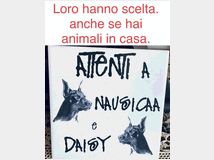 4566007 Tua Sicurezza a