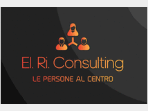 4738372 RI. Consulting azienda