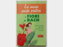 4766151 Nuova Guida Pratica