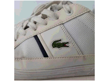 4823469 uomo lacoste bianche