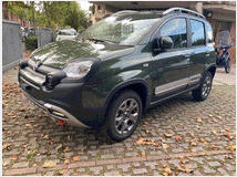 4829246 FIAT Panda 3