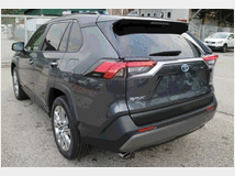 4831591 TOYOTA RAV4 5