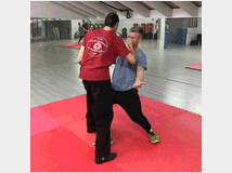 4835964 corsoSEREGNO WING CHUN