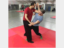 4835965 corsoSEREGNO WING CHUN