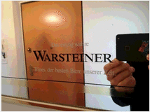 4840055 BIRRA WARSTEINER 