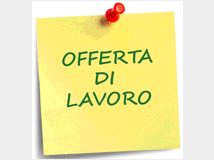 4850386 SRL azienda operante