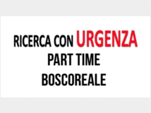 4863683 LAVORO azienda operante