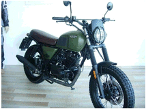 4871669 BRIXTON BX Scrambler