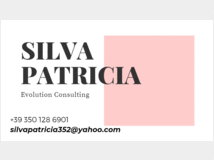 4899868 Consulting azienda operante