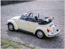 4917826 Noleggio cabrio maggiolino