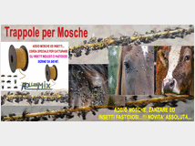 4942862 SPECIALI PER MOSCHE,