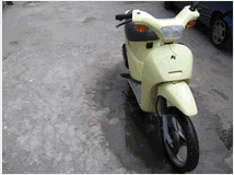 4987837 X PIAGGIO FREE