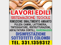 5039467 artigiano edile 