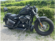 5139151 HARLEY-DAVIDSON 1200 48