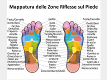 5195627 Riflessologia plantare 