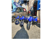 5221999 YAMAHA PW 2022