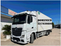 5239134 Camion MERCEDES-BENZ ACTROS