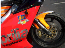 5243100 APRILIA RS 250