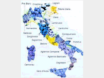 5243710 esperienzaquadriennale cerca lavoro