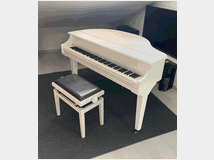 5246065 pianoforte a coda