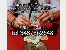 5310462 Cartomante Sensitivo Tony