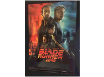 5311014 Runner 2049 (2017)