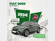 5313206 FIAT 500 x