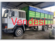 5318747 Trasporto bestiame IVECO