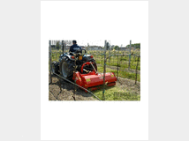 5323463 MASCHIO BARBI 140