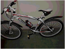 5327241 BOTTECCHIA FX 520