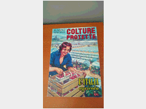 5329411 protette  