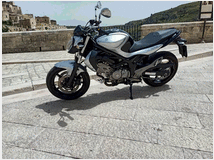 5360081 SUZUKI SFV Gladius