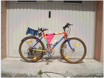 bici-tipo-bicicletta-mountain-bike 
