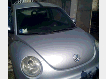 volkswagen-new-beetle-1600 