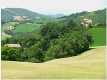 terreno-boschivo-500000mq-prezzo 