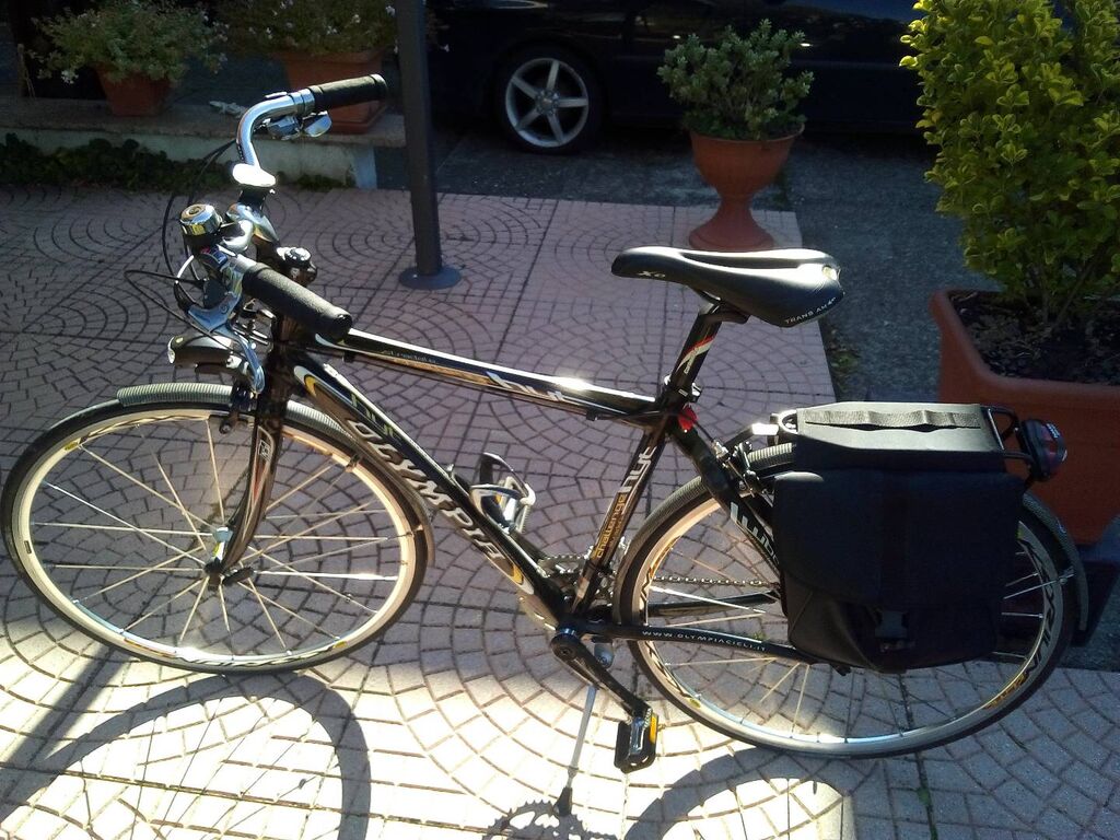 4921297 Bicicletta professionale da uomo