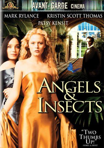 5171489 Angeli e insetti (1995) di