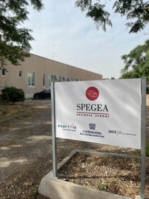 5309090 SPEGEA Business School azienda