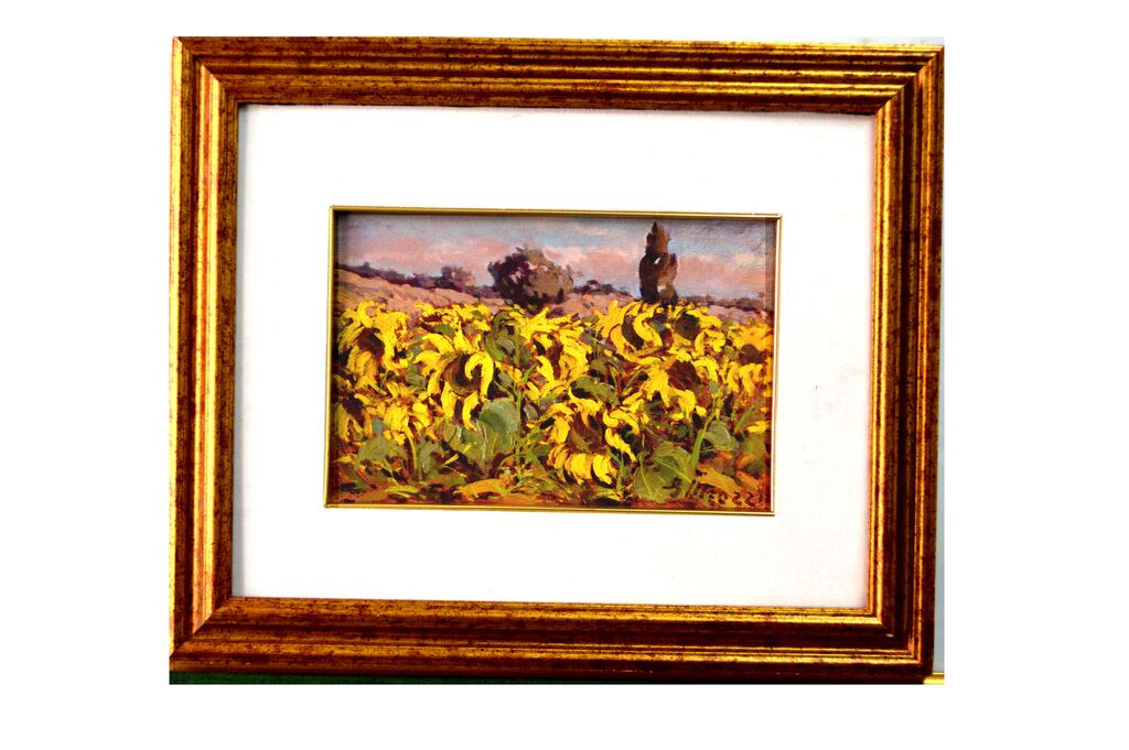 4988279 CAMPO DI GIRASOLI