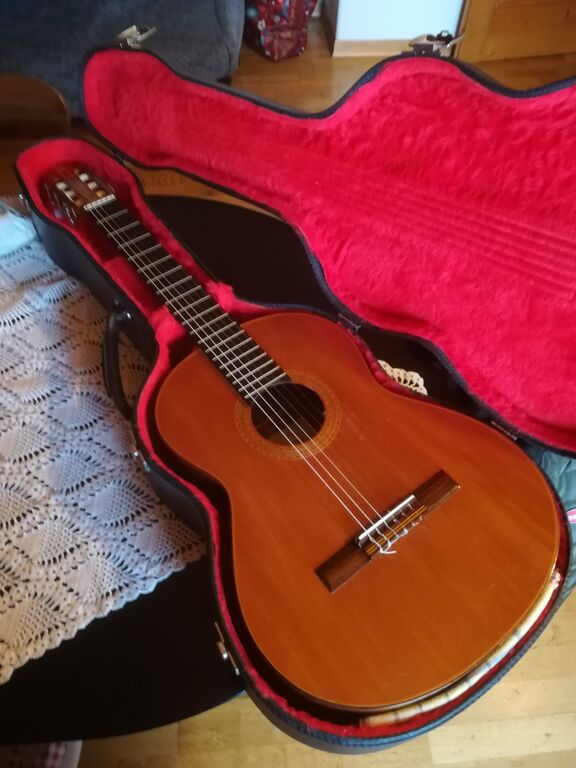 4803466 Chitarra 