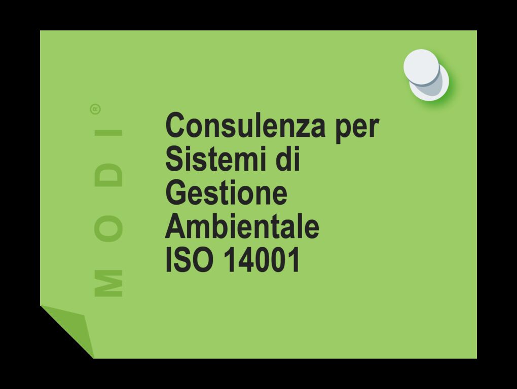 4813663  corsoCONSULENZA PER SISTEMA DI