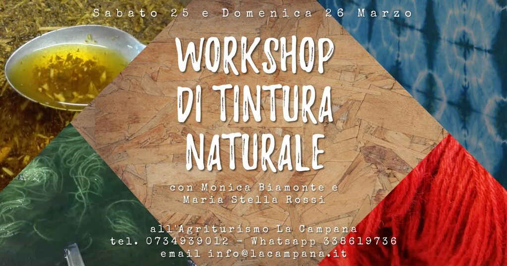 5073245  corsoWorkshop di Tintura