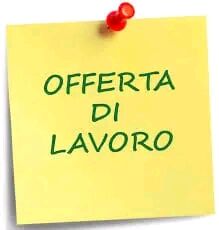 5335869 Offerta di lavoro Offerta di