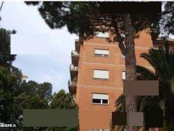 4750417  in affitto appartamento torre