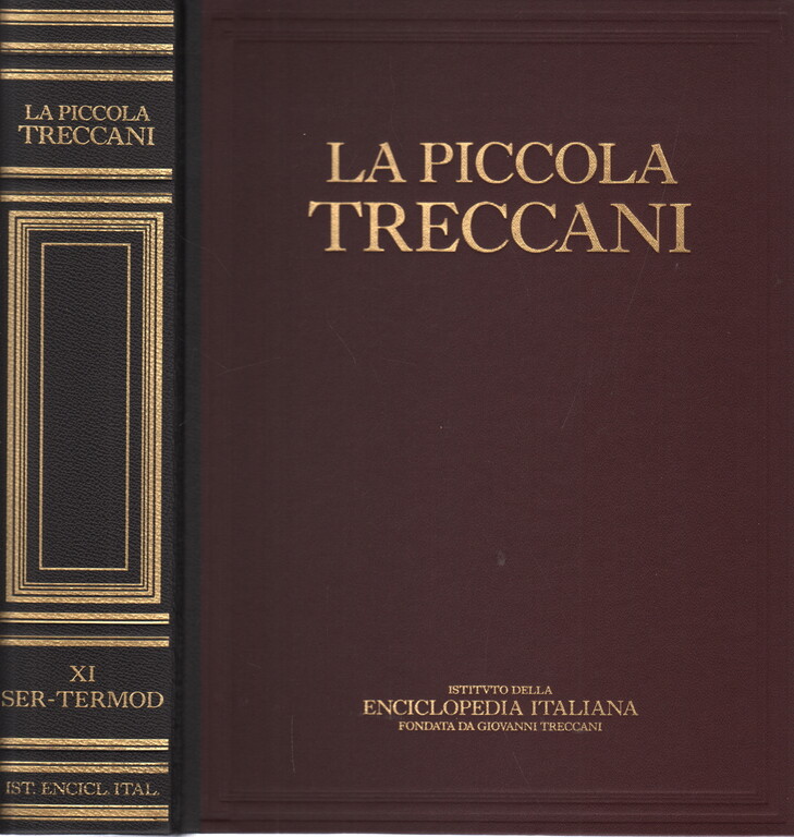 5287214 La piccola treccani xi ser