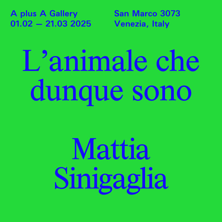 5351068 Lanimale che dunque sono -